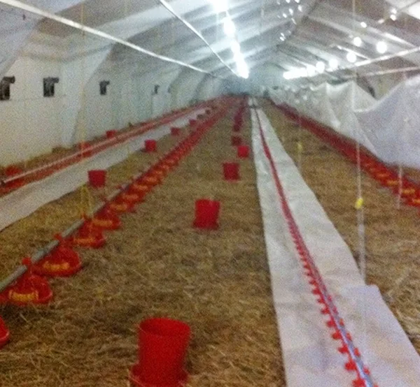 Coop equipment — Bulgaria — 4