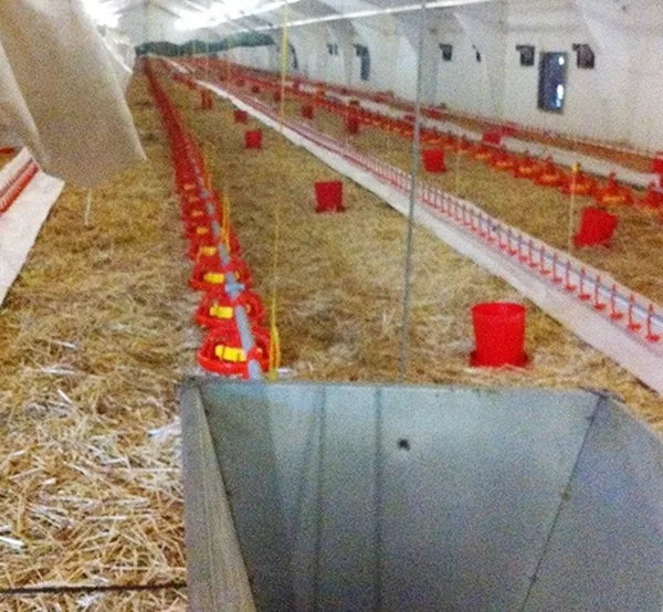 Coop equipment — Bulgaria — 5