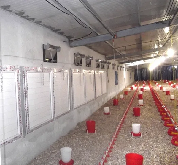 Kümes ekipmanları — İran — 2