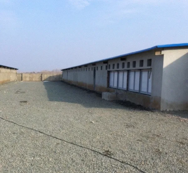 Kümes ekipmanları — İran — 5