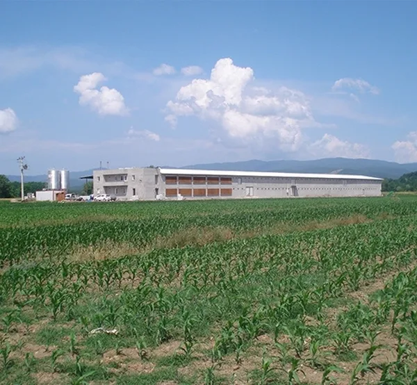 Tavuk kümesleri — 10