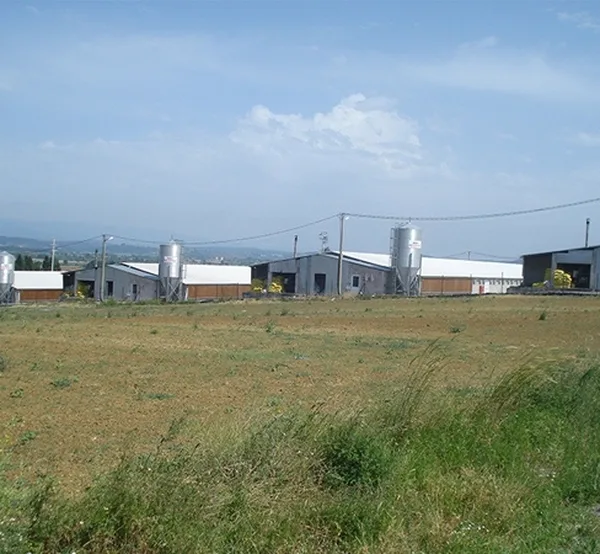 Tavuk kümesleri — 14