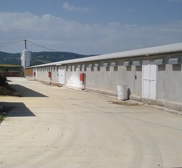 Tavuk kümesleri — 19