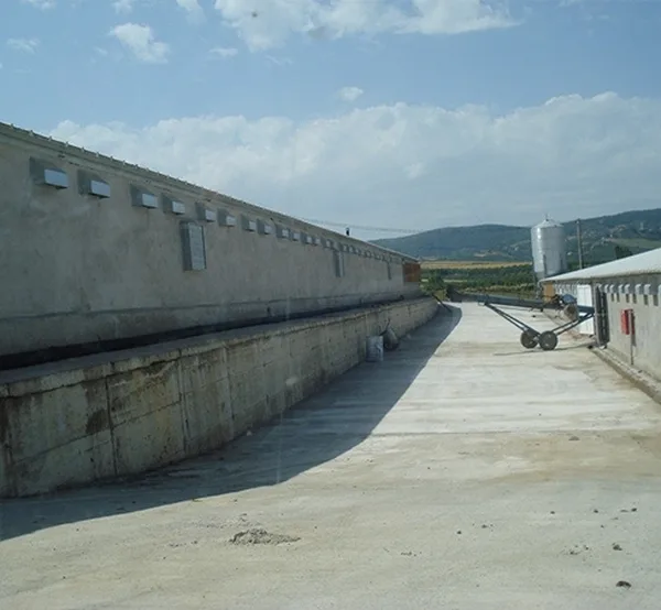 Tavuk kümesleri — 21
