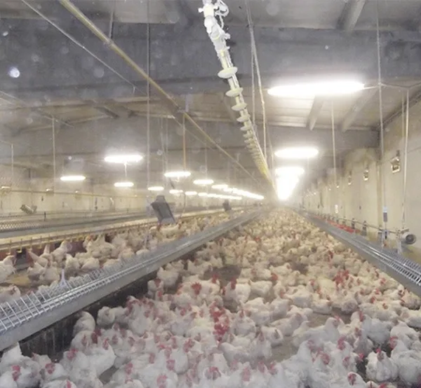 Breeding facilities — 6