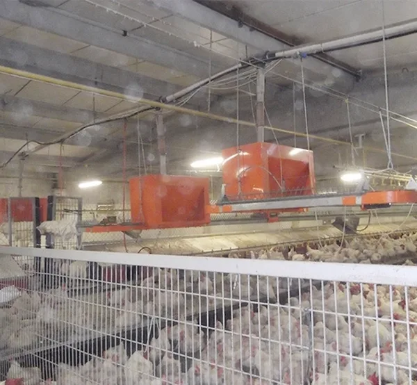 Breeding facilities — 7