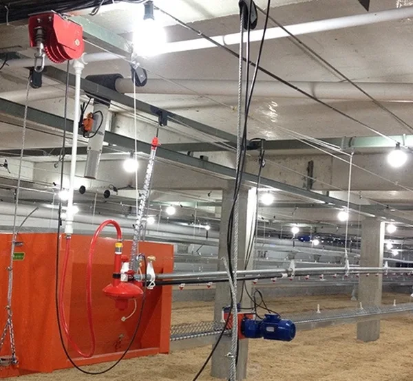 Breeding facilities — 10