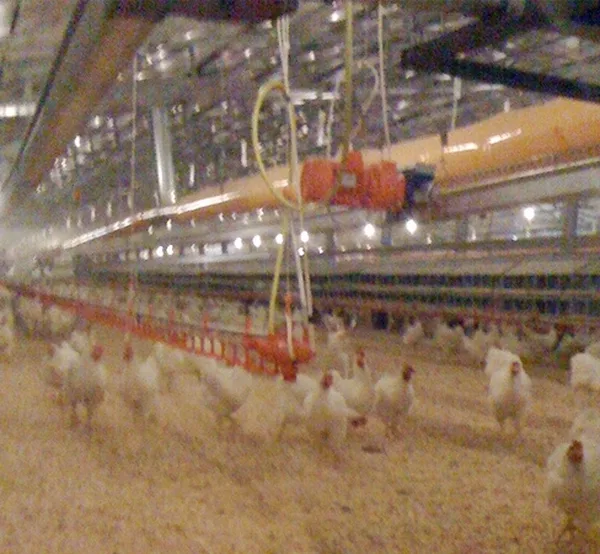 Breeding facilities — 11