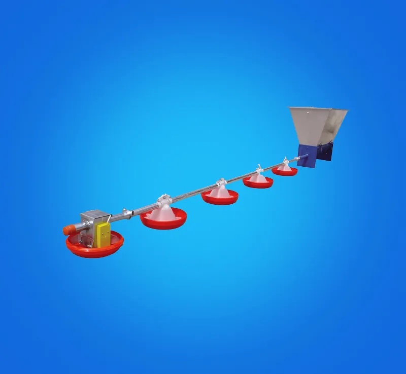 901 Chicken Feed — 3